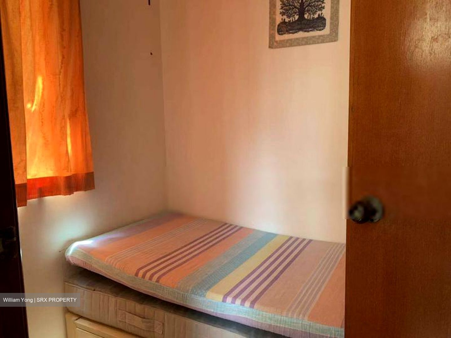 The Tropica (D18), Condominium #607507861